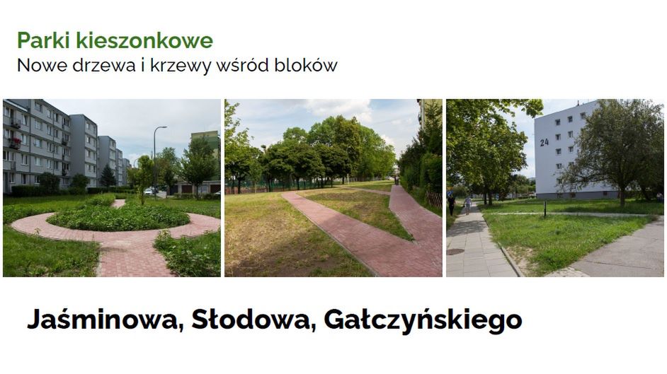 Ochrona bioróżnorodności na terenie Miasta Płocka poprzez tworzenie zielonych przestrzeni publicznych