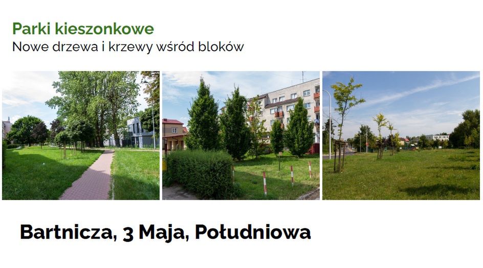 Ochrona bioróżnorodności na terenie Miasta Płocka poprzez tworzenie zielonych przestrzeni publicznych