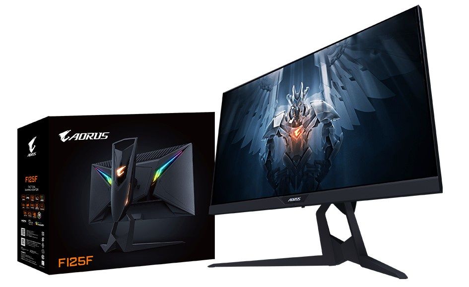 Gigabyte AORUS FI25F