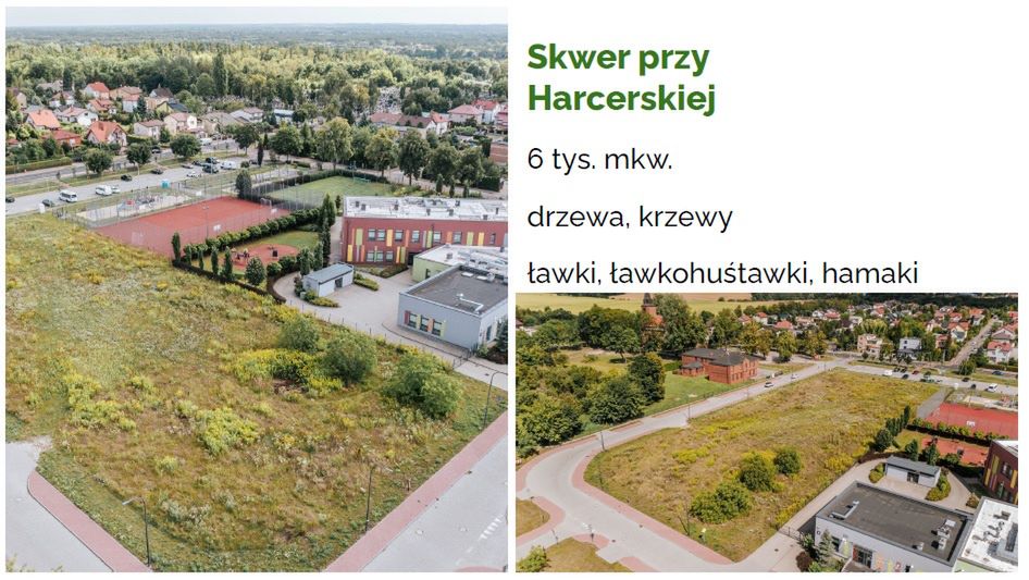 Ochrona bioróżnorodności na terenie Miasta Płocka