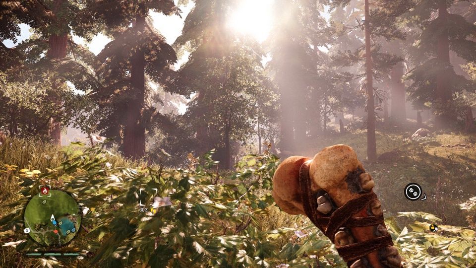 Far Cry Primal - niezłe widoki