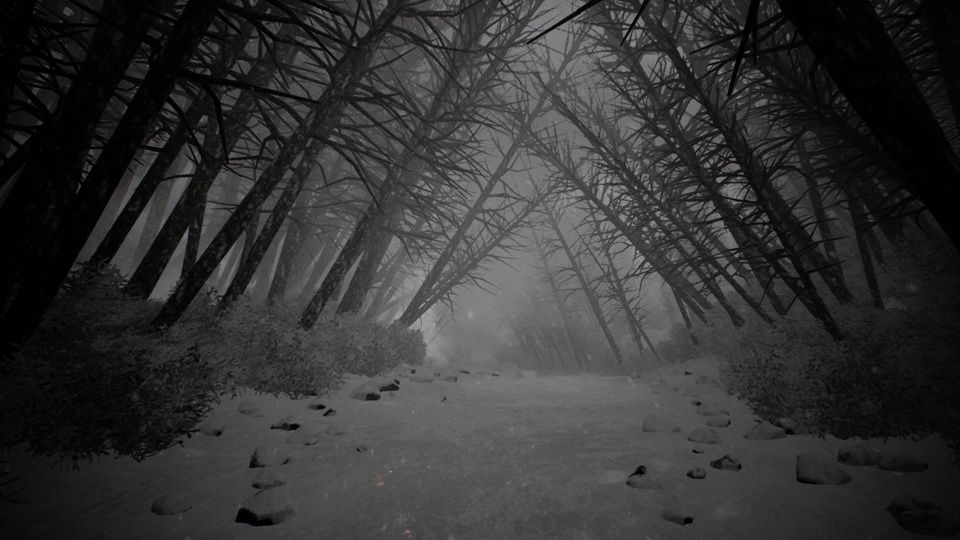 Kholat - złowieszczy las w wydaniu na PS4