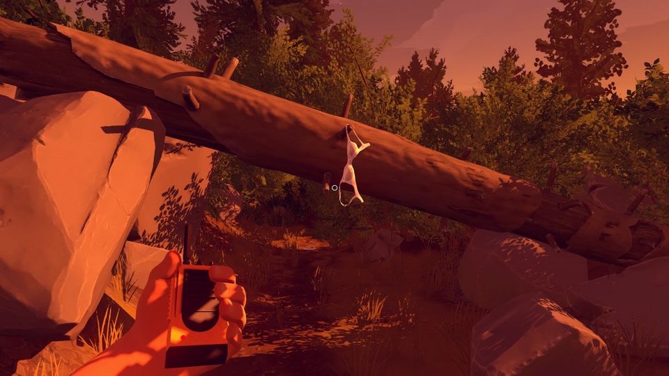 Firewatch - dwuznaczne znalezisko