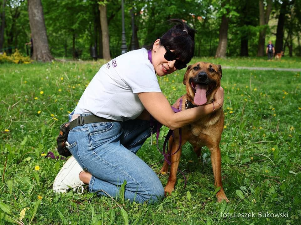 Wolontariusze z pieskami 