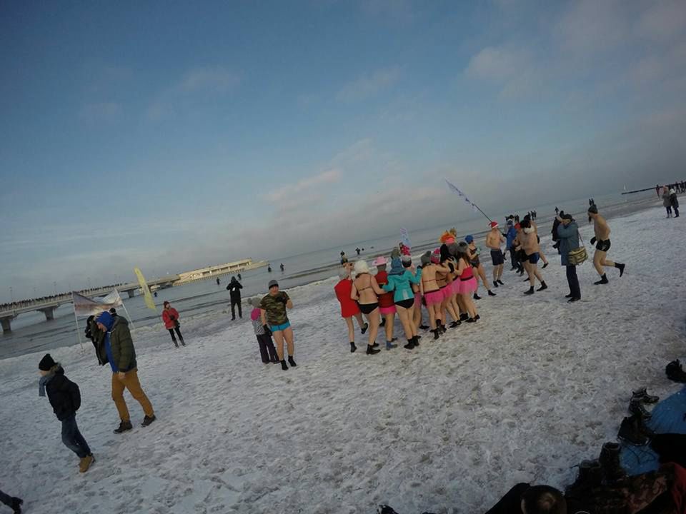 Morsy z gminy Chełmża