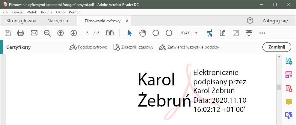 Podpis wizualizacja