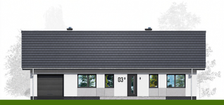 Projekt domu Tani w budowie 3 (LUZ1005) - elewacja frontowa
