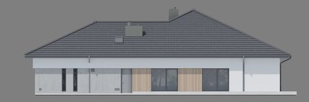 Projekt domu NewHouse 767 w1 (KRZ1166) - elewacja prawa