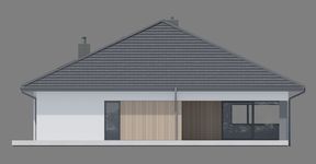 Projekt domu NewHouse 767 w1 (KRZ1166) - elewacja tylna