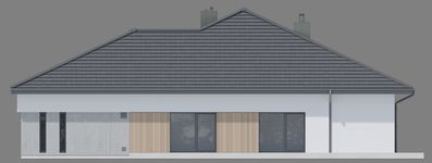 Projekt domu NewHouse 767 (KRZ1167) - elewacja prawa