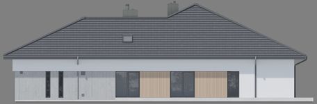 Projekt domu NewHouse 767 w2 (KRZ1169) - elewacja prawa