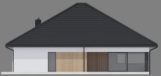 Projekt domu NewHouse 761 w2 plus (KRZ1174) - elewacja tylna
