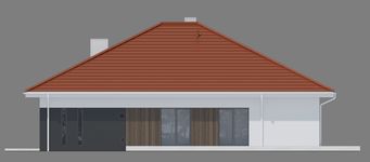 Projekt domu NewHouse 771 red (KRZ1179) - elewacja prawa