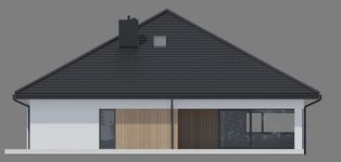 Projekt domu NewHouse 761 w6 S (KRZ1181) - elewacja tylna