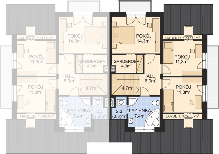 Poddasze projektu APS 049