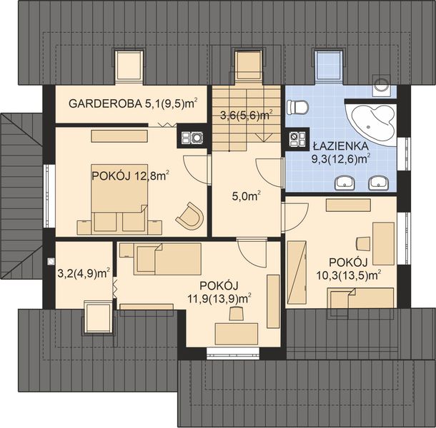 Poddasze projektu APS 201