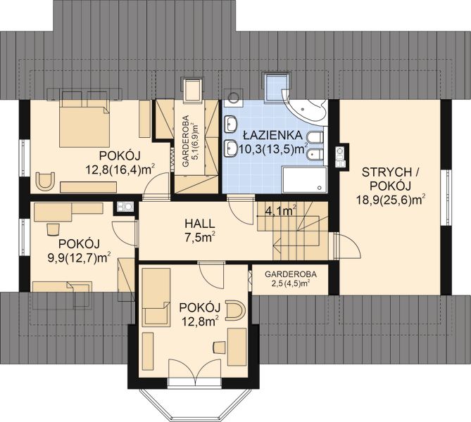 Poddasze projektu APS 231