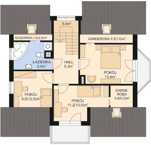 Poddasze projektu APS 241