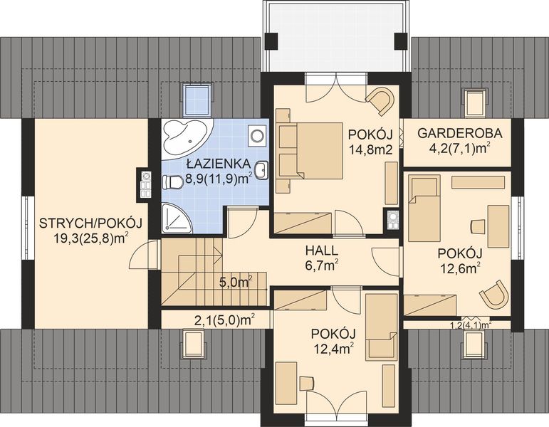 Poddasze projektu APS 233