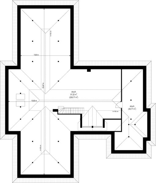 Poddasze projektu Wyjątkowy
