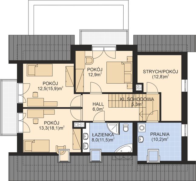 Poddasze projektu APS 303