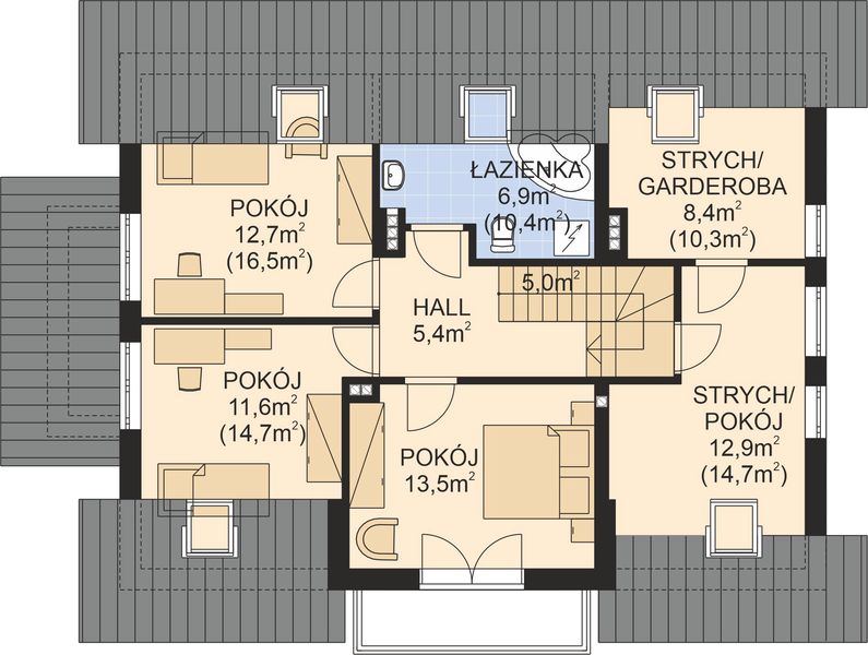 Poddasze projektu APS 229
