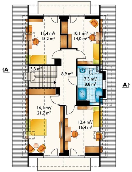 Poddasze projektu Lobelia Prima (1698)