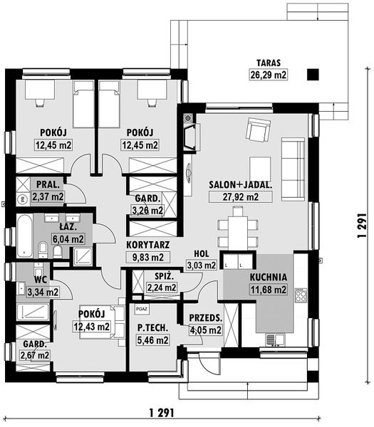 Parter projektu E-289