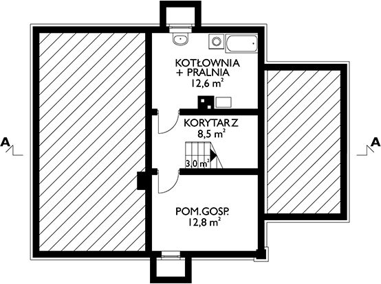 Piwnica projektu Lubczyk (425)