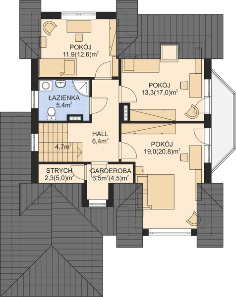 Poddasze projektu APS 059