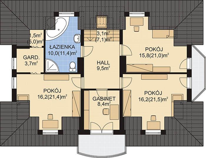 Poddasze projektu APS 046