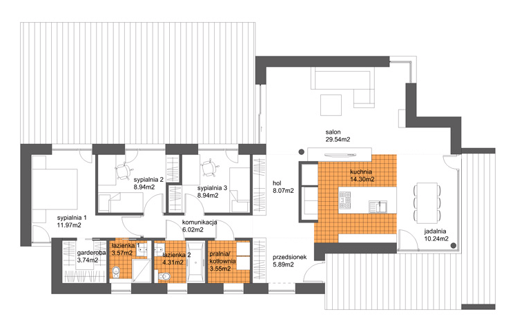 Parter projektu SQ41