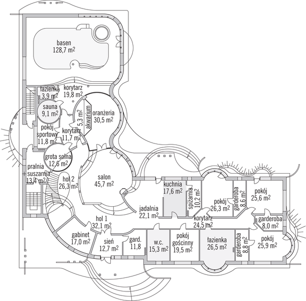 Parter projektu Axel