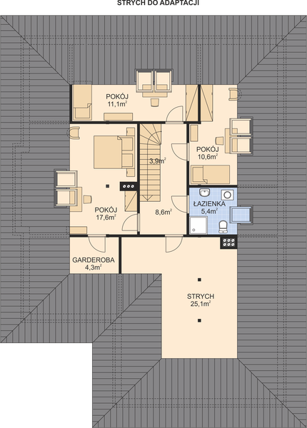 Poddasze projektu APS 272