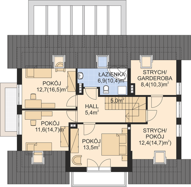 Poddasze projektu APS 229 NEW