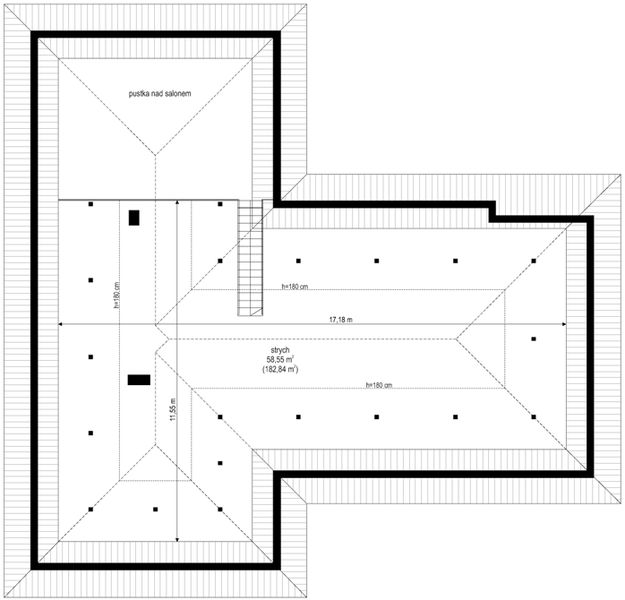 Poddasze projektu Parterowy 2